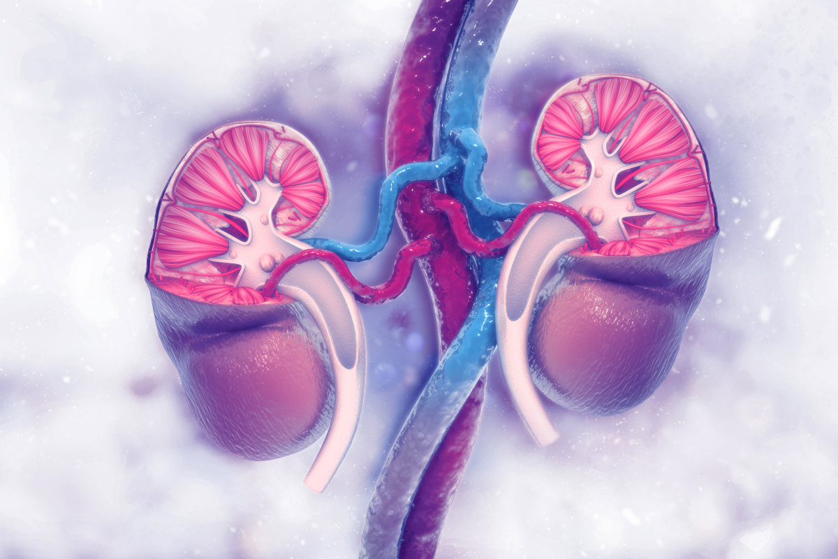 Studying New Approaches for Immunotherapy in Renal Cancer