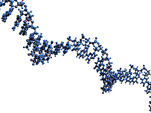 RNA macromolecule skeletal formula, molecular structure of RNA single strand